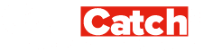 Car Catch